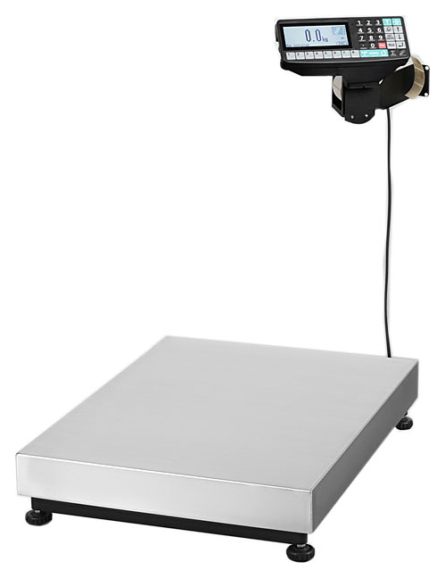 Весы торговые МАССА-К TB-M-300.2-RP1