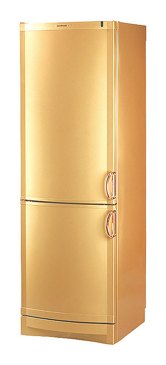 Холодильник Vestfrost BKF 404 зoлотой