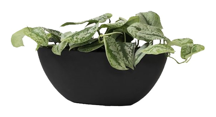Кашпо Pottery Pots Dorant (53х23,5х21 см) черное матовое