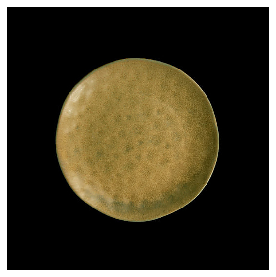 Тарелка Corone Antico 35075 21 см