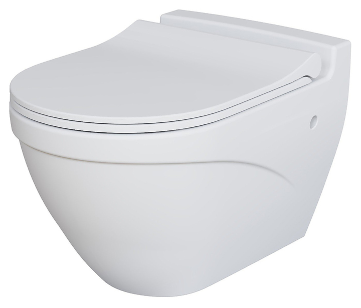 Унитаз подвесной с крышкой-сиденьем Ambassador Nord 133T20101-132T20101S белый матовый