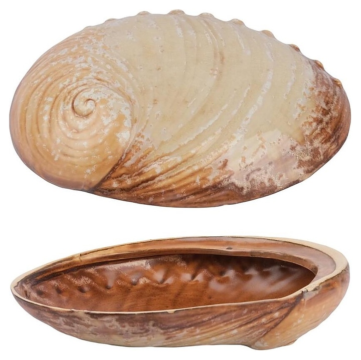Салатник P.L. Proff Cuisine Pearl Ammonite Shell Frutti di Mare B240020619-2410Q 365 мл 19х14,5 см h=5 см (керамика)