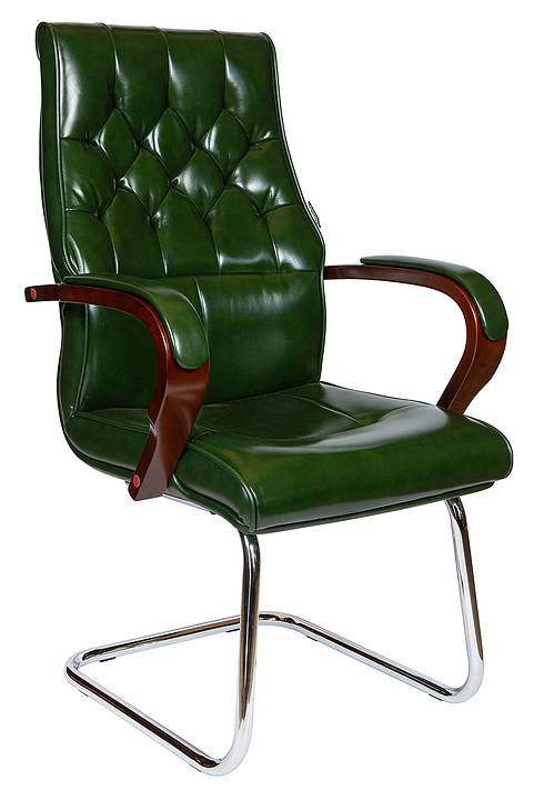 Кресло NORDEN Боттичелли CF P2338B-L09 leather