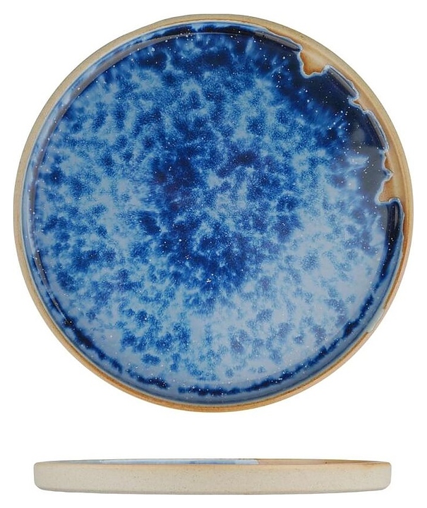 Тарелка P.L. Proff Cuisine Blue Panasia 17-253EJM-AS PICTURE d=21 см h=1,6 см с бортом (фарфор)