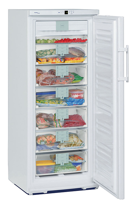 Шкаф морозильный Liebherr GNP 2976