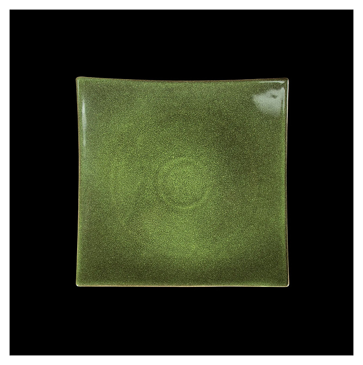 Тарелка квадратная Corone Cocorita XSY2179 265х265 мм, зеленая