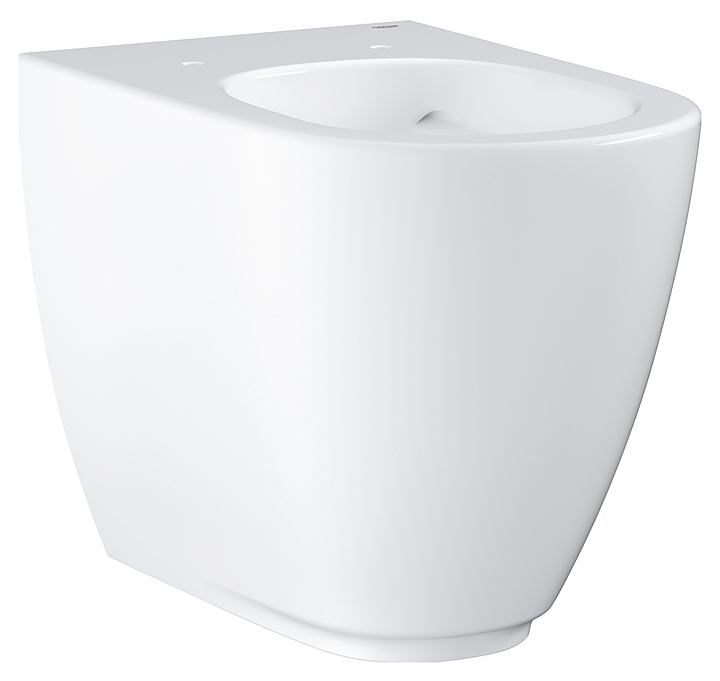 Унитаз приставной без бачка Grohe Euro Essence 3957300HGr