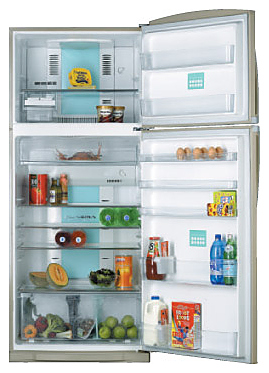 Холодильник Toshiba GR-H 64 TR (MS)