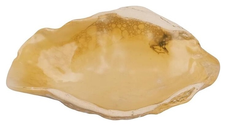 Блюдо сервировочное P.L. Proff Cuisine Pearl Shell Frutti di Mare B2400406131-2410Z 19,9х8 см h=3,8 см (керамика)