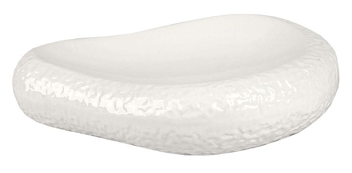 Блюдо для подачи P.L. Proff Cuisine Organic F3014-10.5 25х20 см