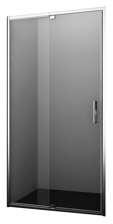 Дверь душевая Wasserkraft Berkel 48P05 120х200 см, в нишу, распашная, серебристый профиль
