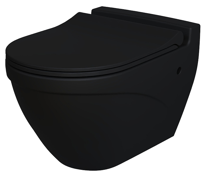 Унитаз подвесной с крышкой-сиденьем Ambassador Nord 133T20201-132T20201S черный матовый
