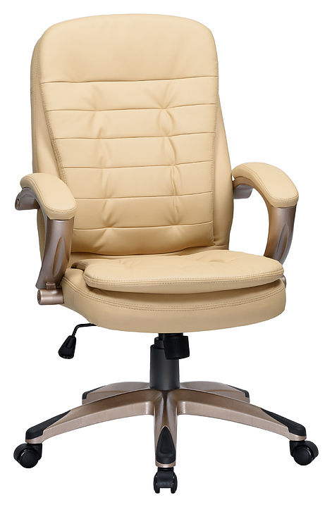 Кресло офисное для руководителей DOBRIN 106B-LMR DONALD (бежевое)