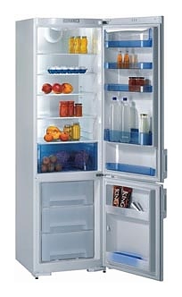 Холодильник Gorenje RK 63391 W