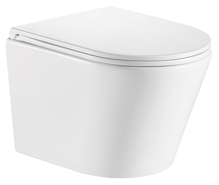 Унитаз подвесной с крышкой-сиденьем OLIVE'S TORRES TR30116DP