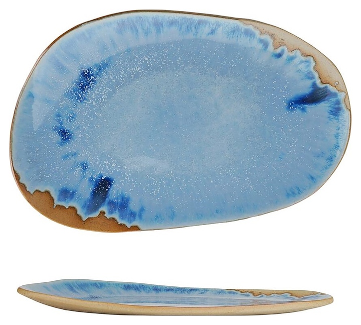 Блюдо сервировочное P.L. Proff Cuisine Blue Panasia 20-684EJM-AS PICTURE 28х18,3 см h=2,1 см (фарфор) овальное