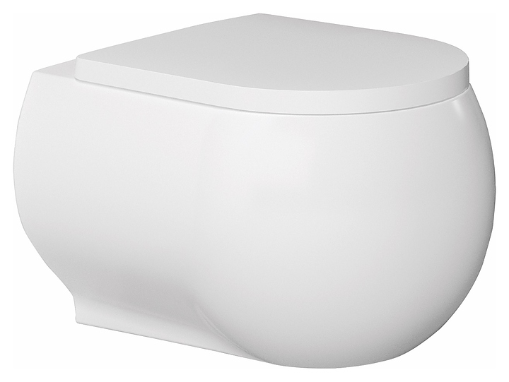 Унитаз подвесной Bien Flash FLKA052N1VP1W3000 с функцией биде и сиденьем микролифт