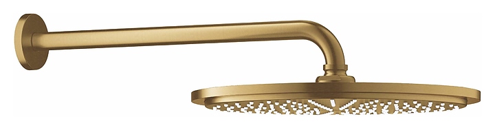 Верхний душ с кронштейном Grohe Rainshower 26066GN0 холодный рассвет матовый