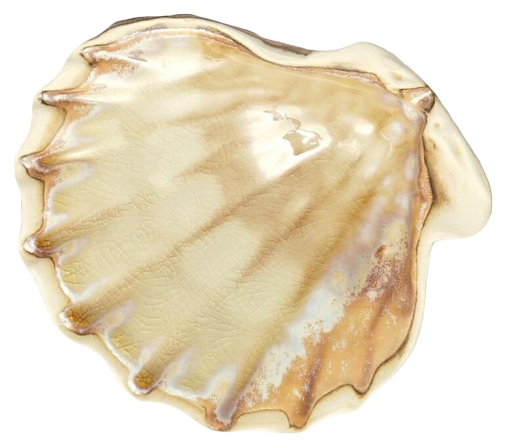 Блюдо сервировочное P.L. Proff Cuisine Pearl Shell Frutti di Mare QB23085005 50 мл 13х12 см h=3 см (керамика)