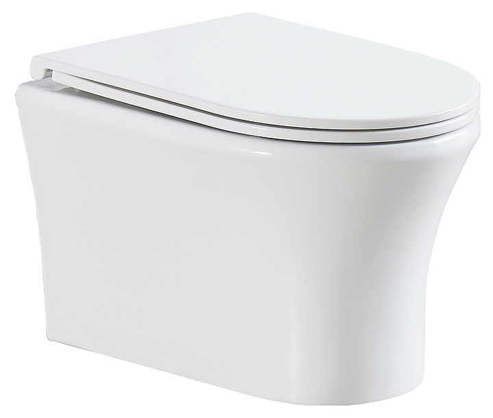 Унитаз подвесной с крышкой-сиденьем OLIVE'S SIERRA SR30116DP