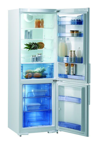 Холодильник Gorenje RK 63341 W