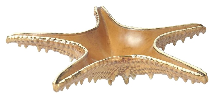 Блюдо сервировочное P.L. Proff Cuisine Pearl Starfish Frutti di Mare QB23176003 100 мл 28х28 см h=6 см (керамика)