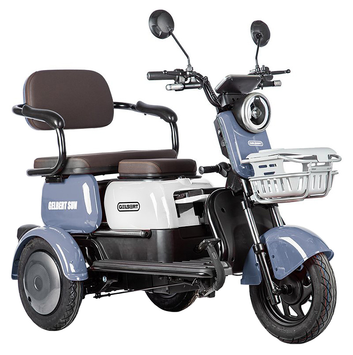 Трицикл Rutrike Gelbert Sun фиолетово-белый