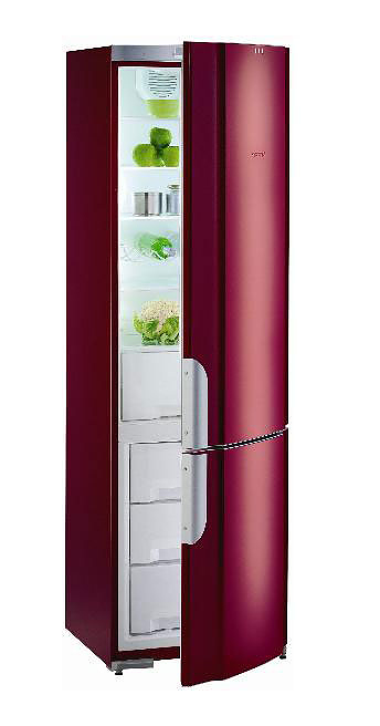 Холодильник Gorenje RK 62391 R