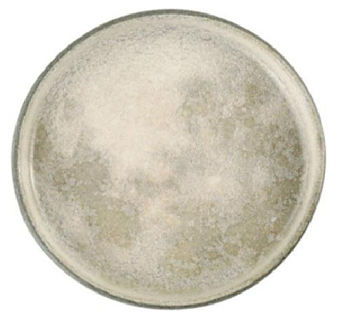 Тарелка Porland Stoneware Selene 18KP22