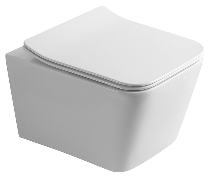 Унитаз подвесной с крышкой-сиденьем OLIVE'S PORTO PR30116DP