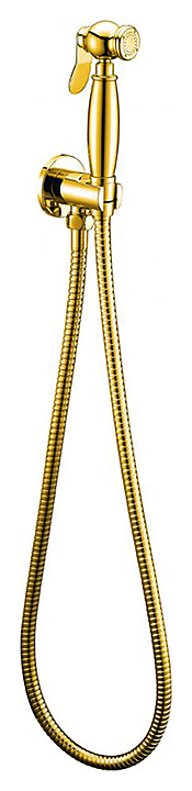 Душ гигиенический CEZARES CZR-U-IFSC1-03/24, золото