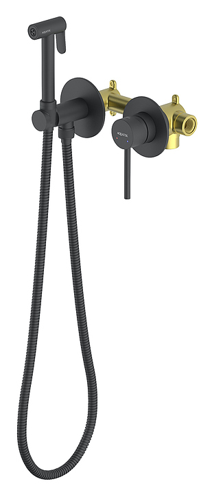 Душ гигиенический со смесителем Aquatek Европа AQ1319MB черный матовый