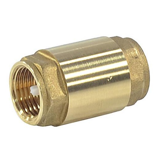 Клапан обратный Giacomini осевой R60 Ду 50 Ру10 Тмакс=110 оС ВР 2