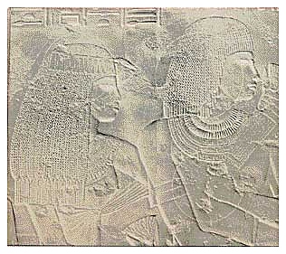 Варочная панель Zigmund & Shtain CD 01.6 DX