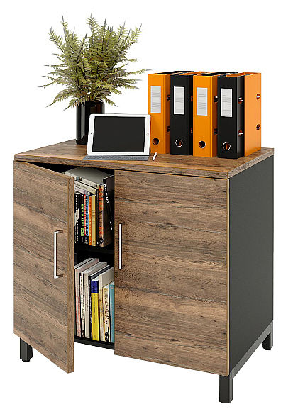 Шкаф для документов ZAMM 2 полки, 2 двери МК 600 90х60х83,7 см фасад дуб Галифакс олово, корпус черный