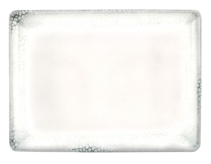 Тарелка плоская Kutahya CORENDON Greenness BNTAN30x22DU890667 30х22х2.3 см