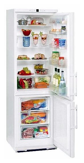 Холодильник Liebherr CP 4003