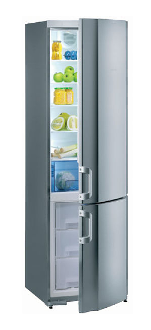 Холодильник Gorenje RK 61391 E