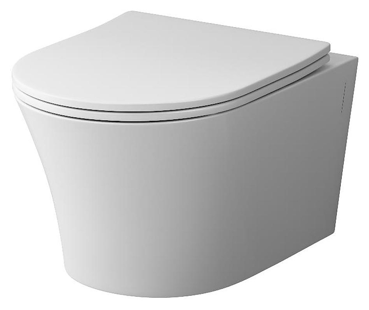 Унитаз подвесной Damixa Skyline DX35C1700SC с сиденьем микролифт