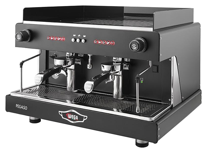 Кофемашина Wega Pegaso EVD 2PG