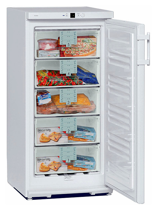 Шкаф морозильный Liebherr G 2033 (G 2013)