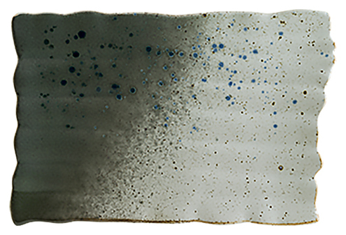 Блюдо Bonna GAI 31 DT