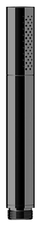 Лейка душевая Gattoni Accessori 6398/PDSN