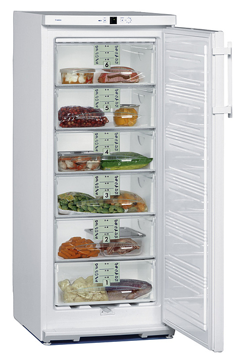 Шкаф морозильный Liebherr G 2433 (G 2413)