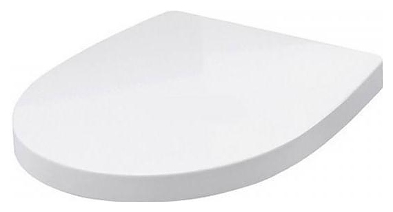 Сиденье для унитаза Roca Victoria Nord ZRU9000023