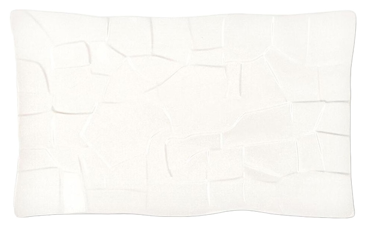 Блюдо сервировочное P.L. Proff Cuisine F3670-13WY Texture Style 32,5х19,5 см h=2 см (фарфор) прямоугольное белое