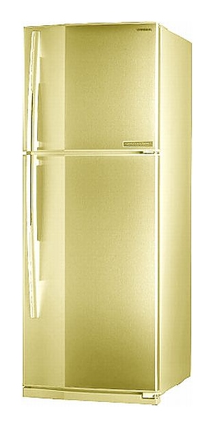 Холодильник Toshiba GR-M49TR TS