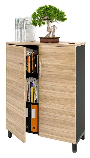 Шкаф для документов ZAMM 3 полки, 2 двери МК 414 90х41,4х120 см фасад дуб Бардолино, корпус черный