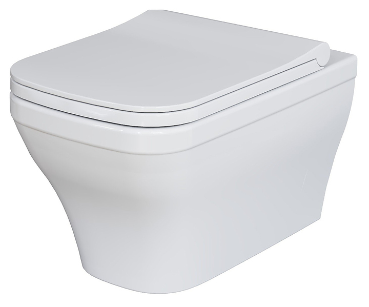 Унитаз подвесной с крышкой-сиденьем Ambassador Benefit 203T20001R-202T20001S белый глянцевый