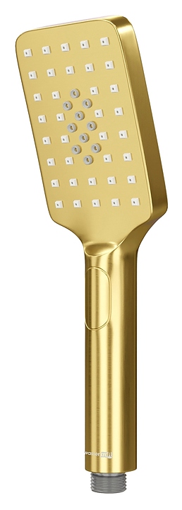 Душ ручной Wasserkraft A201 матовое золото
